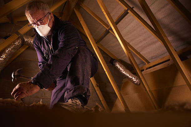 Best Insulation Maintenance and Repair in New River, AZ